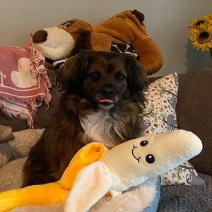 Meet your Posher, Tanner